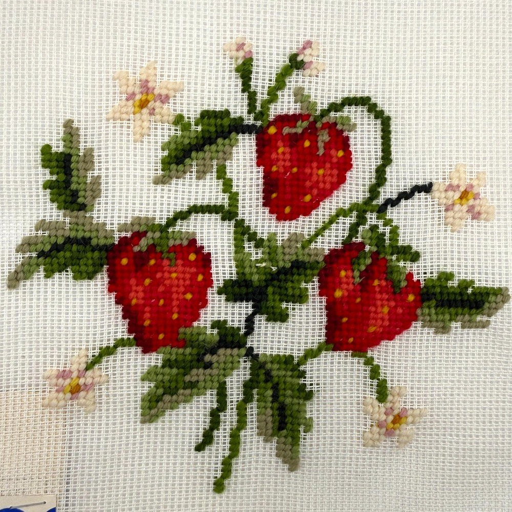 Vintage Preworked Decorator Needlepoint Canvas Strawberries Dritz Design 6 x 7
